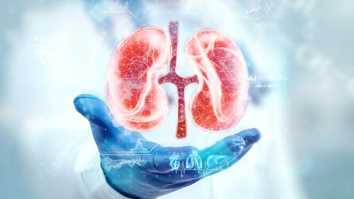 ‎Studi Temukan Makin Banyak Orang Kena Penyakit Gagal Ginjal