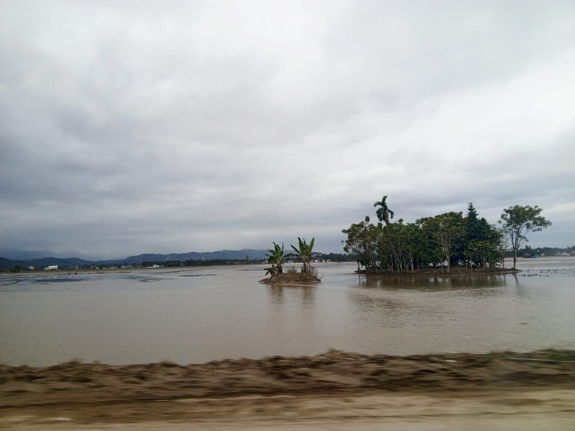 Lahan Sawah Aceh Terdampak Banjir 89.582 Hektare, Kerugian Ditaksir Tembus Rp1 Triliun