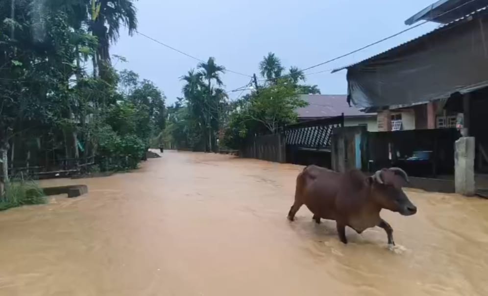 1766578502531 Sejumlah Gampong di Pidie Jaya Kembali Dilanda Banjir