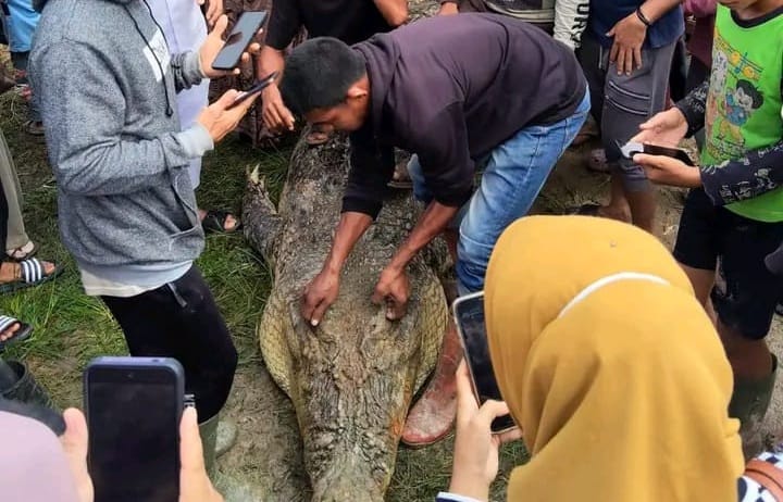 WhatsApp Image 2026-02-17 at 17.55.59