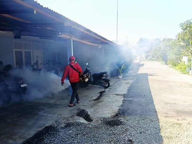 Petugas kesehatan melakukan pengasapan (fogging) di kawasan Komplek Elang Lanud Sultan Iskandar Muda (SIM), Gampong Bung Pageu, Aceh Besar, sebagai tindak lanjut penanganan kasus Demam Berdarah Dengue (DBD), Sabtu (18/4/2026). FOTO/MC ACEH BESAR.