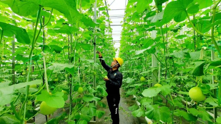 Foto: Dok. Pertamina