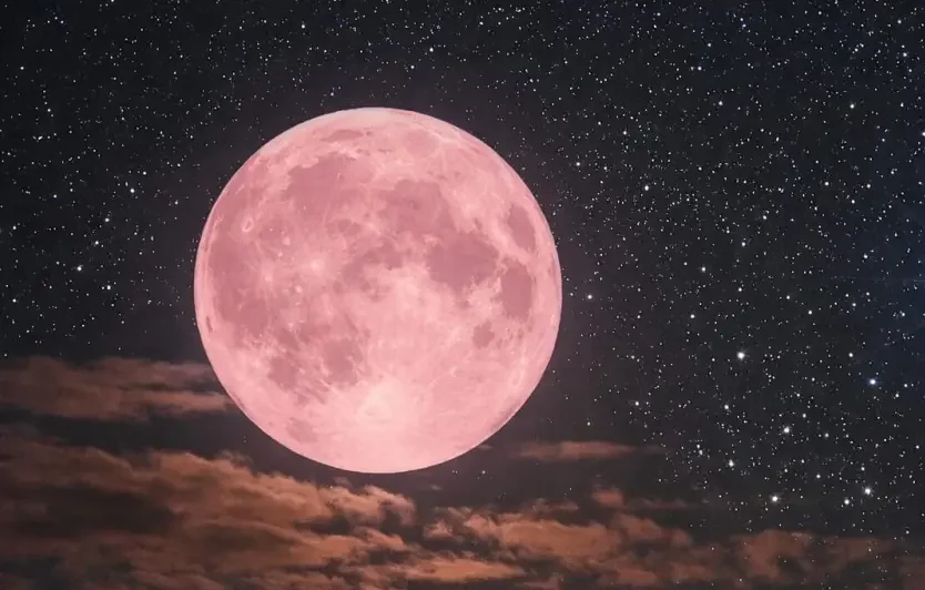 Ilutrasi Pink Moon. Foto: Istimewa