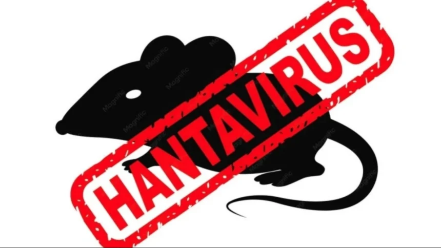 Ilustrasi Hantavirus. (Foto: NU Online/Freepik)