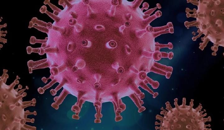 Ilustrasi virus. Foto: Pixabay.com