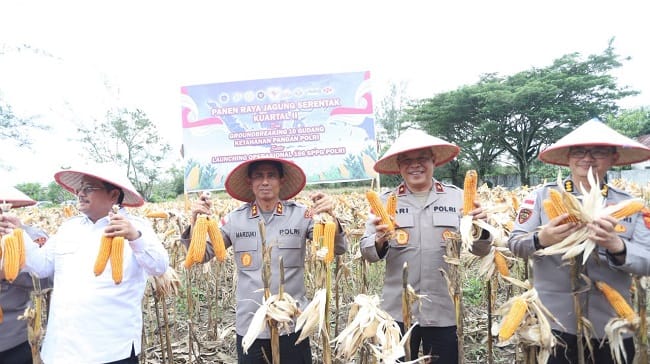 Kapolda Aceh Irjen Pol. Drs. Marzuki Ali Basyah, M. M, didampingi Wakapolda Aceh Brigjen Pol. Ari Wahyu Widodo,S.I.K., Dir Polairud Polda Aceh Wahyu Prihatmaka,S.H.,M.H., Karo SDM Polda Aceh KBP. Ricky P. Kertapati,S.I.K.,M.Si., serta Dir Intelkam Polda Aceh KBP. Said Anna Fauza,S.I.K., M.M.,M.H, pada kegiatan Panen Raya Jagung Serentak Kuartal II. Kapolda Aceh Irjen Pol. Drs. Marzuki Ali Basyah, M. M, didampingi Wakapolda Aceh Brigjen Pol. Ari Wahyu Widodo,S.I.K., Dir Polairud Polda Aceh Wahyu Prihatmaka,S.H.,M.H., Karo SDM Polda Aceh KBP. Ricky P. Kertapati,S.I.K.,M.Si., serta Dir Intelkam Polda Aceh KBP. Said Anna Fauza,S.I.K., M.M.,M.H, pada kegiatan Panen Raya Jagung Serentak Kuartal II.