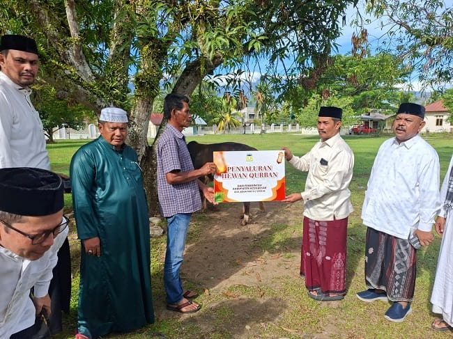 Wakil Bupati menyalurkan hewan qurban bantuan Pemerintah Kabupaten Aceh Besar kepada masyarakat dalam rangka menyambut Hari Raya Iduladha 1447 Hijriah. Penyerahan hewan qurban tersebut berlangsung di Halaman Masjid Agung Al Munawarrah, Kota Jantho, Rabu (27/5/2026). FOTO/MC ACEH BESAR