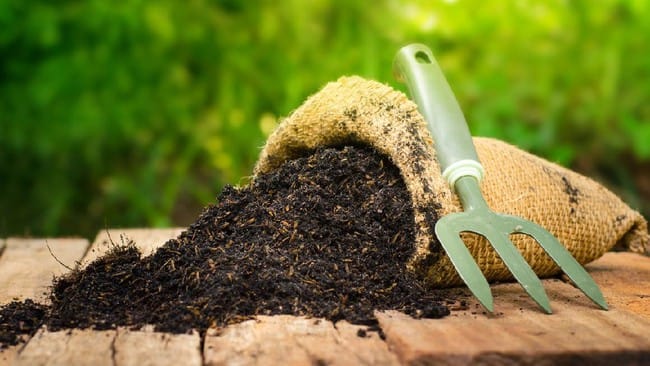 Ilustrasi. Produsen pupuk dan petani Jerman tertekan akibat perang Iran yang memicu lonjakan harga energi dan gangguan pasokan, mengancam ketahanan pangan global. (Foto: iStockphoto/Singkham)