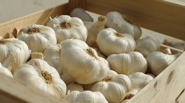 Ilustrasi. Bawang Putih. Foto: Pixabay