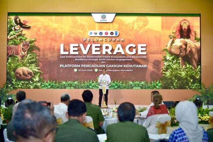 Kemenhut Luncurkan LEVERAGE untuk Perkuat Penegakan Hukum Kehutanan