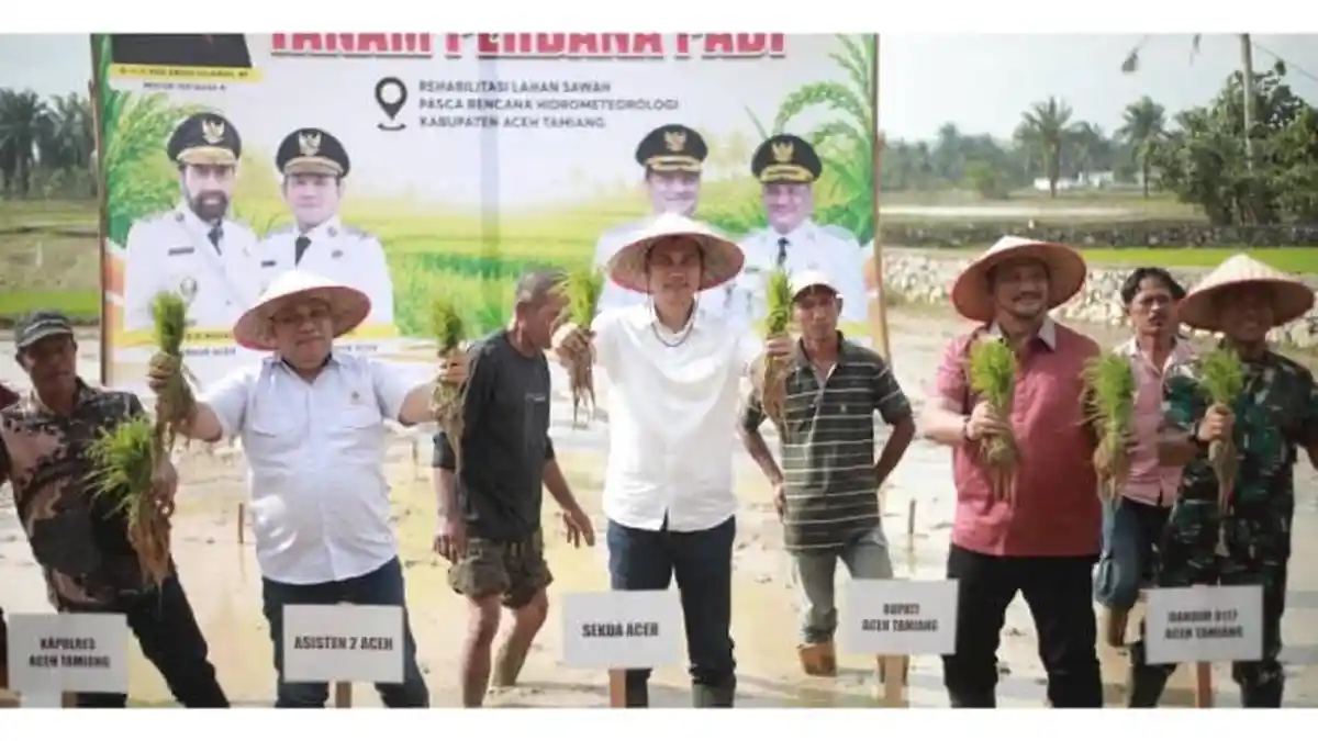 TANAM PADI PERDANA – Sekretaris Daerah (Sekda) Aceh, M. Nasir didampingi Asisten Perekonomian dan Pembangunan Setda Aceh T. Robby Irza, Bupati Aceh Tamiang Armia Pahmi, unsur Forkopimda, serta petani melakukan penanaman padi perdana di lahan sawah pascabencana hidrometeorologi di Desa Bukit Panjang, Kecamatan Karang Baru, Kabupaten Aceh Tamiang, Minggu (5/7/2026).