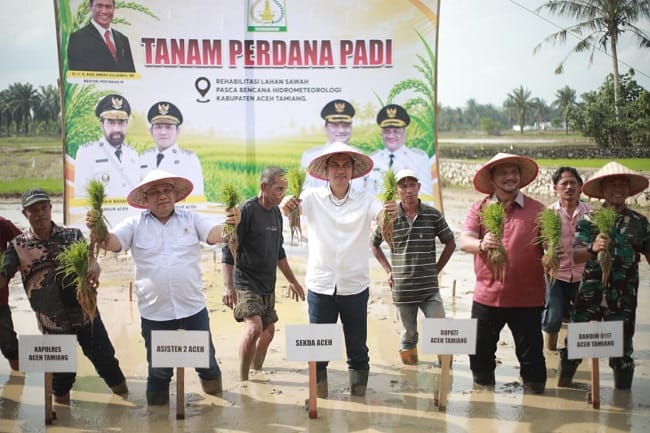 Sekretaris Daerah (Sekda) Aceh, M. Nasir mewakili Gubernur Aceh, H. Muzakir Manaf, meresmikan gerakan tanam padi perdana pasca bencana hidrometeorologi di Kabupaten Aceh Tamiang. | (Foto Humas) Sekretaris Daerah (Sekda) Aceh, M. Nasir mewakili Gubernur Aceh, H. Muzakir Manaf, meresmikan gerakan tanam padi perdana pasca bencana hidrometeorologi di Kabupaten Aceh Tamiang. | (Foto Humas)