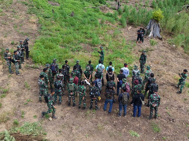 Tim gabungan Kodam Iskandar Muda yang dipimpin Dandim 0116/Nagan Raya, Letkol Inf Irfan Hade Fitrianto, melaksanakan operasi pemusnahan ladang ganja seluas sekitar 50 hektare di kawasan hutan lindung Desa Blang Meurandeh, Kecamatan Beutong Ateuh Banggalang, Kabupaten Nagan Raya, Rabu (8/7/2026). Foto: Dok. Istimewa