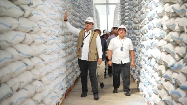 BULOG Berhasil Serap 3,5 Juta Ton Setara Beras Petani Foto: Dok. BULOG