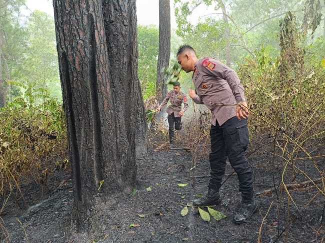 PADAMKAN KEBAKARAN HUTAN - Personel Kompi 2 Batalyon A Pelopor Satuan Brimob Polda Aceh bergerak cepat menangani kebakaran hutan yang terjadi di kawasan kaki Gunung Seulawah Inong, Aceh Besar, Kamis (30/7/2026) siang.