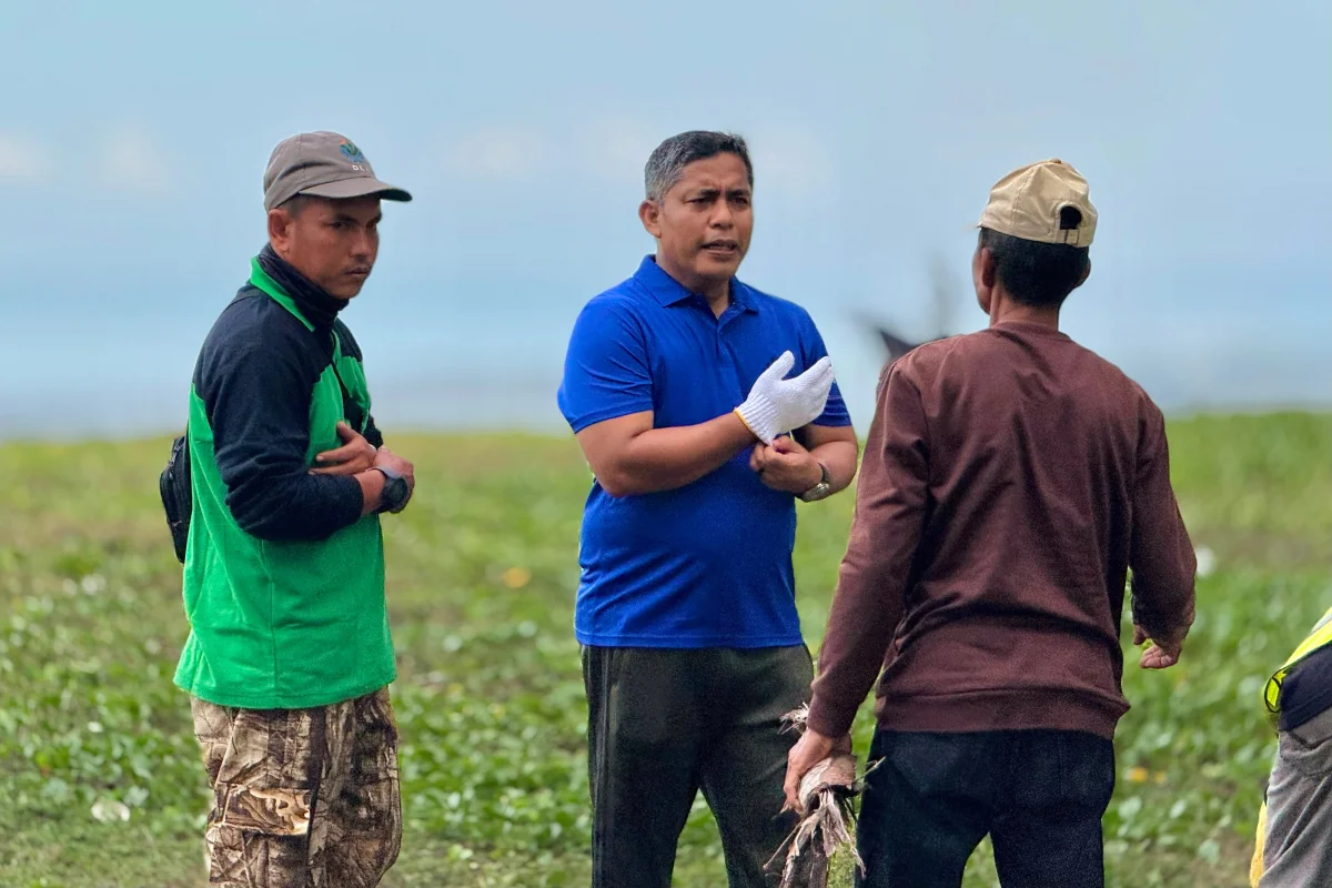 Pemkab Aceh Barat Gelar Gotong Royong di Pantai Suak Ribe, Perkuat Budaya Peduli Lingkungan Foto: Dok. Pemkab Aceh Barat
