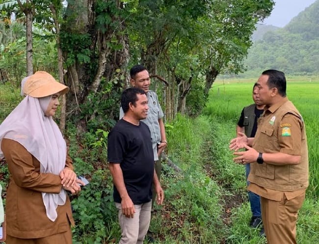 Plt Kepala Dinas Pertanian Aceh Besar, Imam Munandar, STP bersama tim pertanian melakukan tinjauan lapangan sawah yang terdampak kekeringan, di Blang Musang, Kecamatan Lhoknga, pada Senin (3/8/2026). FOTO/ MC ACEH BESAR Plt Kepala Dinas Pertanian Aceh Besar, Imam Munandar, STP bersama tim pertanian melakukan tinjauan lapangan sawah yang terdampak kekeringan, di Blang Musang, Kecamatan Lhoknga, pada Senin (3/8/2026). FOTO/ MC ACEH BESAR