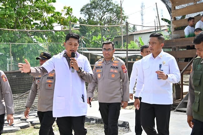 Tinjau Ketahanan Pangan: Wakapolri Komjen Pol. Prof. Dr. Dedi Prasetyo (kanan) meninjau program ketahanan pangan dan inovasi peternakan di Polda Riau, Selasa (5/8/2026).