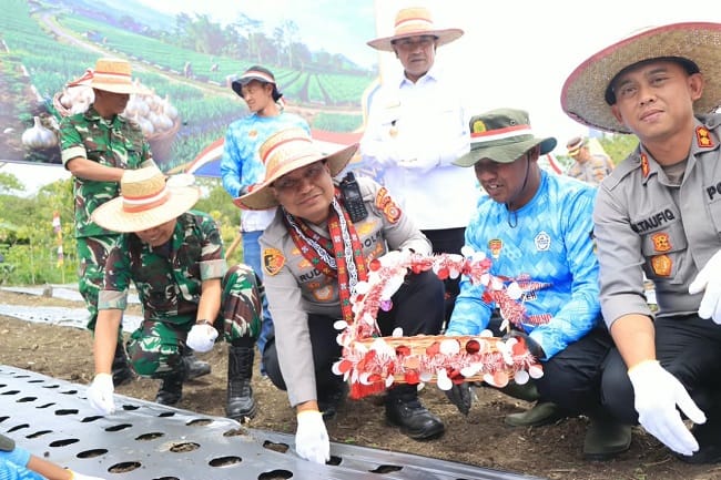 Kapolda Aceh Irjen Pol. Ruddi Setiawan (tengah) dan Pejabat Polda Aceh Kombes Pol. M. Taufiq (kanan), bersama personel TNI dan perwakilan pemerintah, melakukan penanaman bibit bawang putih Lumbu Hijau secara serentak di Kampung Paya Tungel, Kecamatan Jagong Jeget, Kabupaten Aceh Tengah, pada Rabu (19/8/2026).