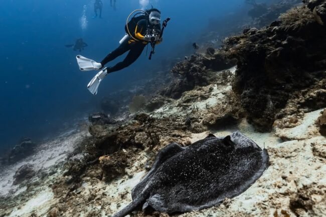 Dive center dari Malaysia dan Singapura mengikuti kegiatan 