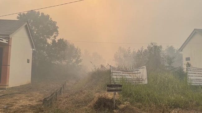 Karhutla di Banjarbaru dekati Perumahan. (Khairun Nisa/detikKalimantan) Karhutla di Banjarbaru dekati Perumahan. (Khairun Nisa/detikKalimantan)