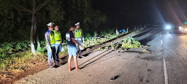 OLAH TKP - Kasatlantas, Kompol Mawardi bersama personel saat olah TKP di Jalan TPI Lampulo, Gampong Lampulo, Kecamatan Kuta Alam, Banda Aceh, usai kecelakaan berujung maut, Jumat (4/9/2026). OLAH TKP - Kasatlantas, Kompol Mawardi bersama personel saat olah TKP di Jalan TPI Lampulo, Gampong Lampulo, Kecamatan Kuta Alam, Banda Aceh, usai kecelakaan berujung maut, Jumat (4/9/2026).