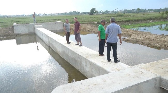 Keuchik Gampong Lamtimpeung, Muktar, meninjau Bendungan irigasi di Gampong Lamtimpeung, Kecamatan Darussalam, Kabupaten Aceh Besar, Jum’at (19/9/2026) FOTO/MC ACEH BESAR Keuchik Gampong Lamtimpeung, Muktar, meninjau Bendungan irigasi di Gampong Lamtimpeung, Kecamatan Darussalam, Kabupaten Aceh Besar, Jum’at (19/9/2026) FOTO/MC ACEH BESAR