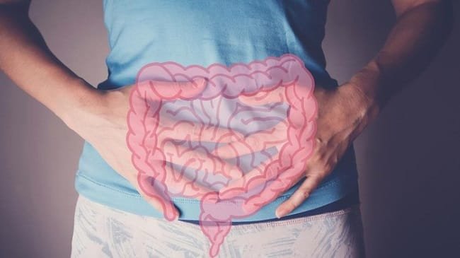 Foto: Ilustrasi usus (Getty Images/iStockphoto/Sewcream)